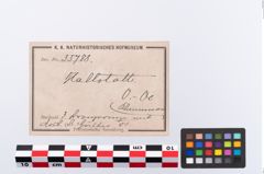 Etikett zu Bronzeringanhänger (NHMW-PRAE-035788)